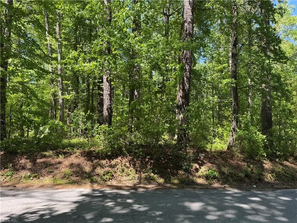 Lot 80 Pughsville RD, SUFFOLK VA 23435 - Photo 3