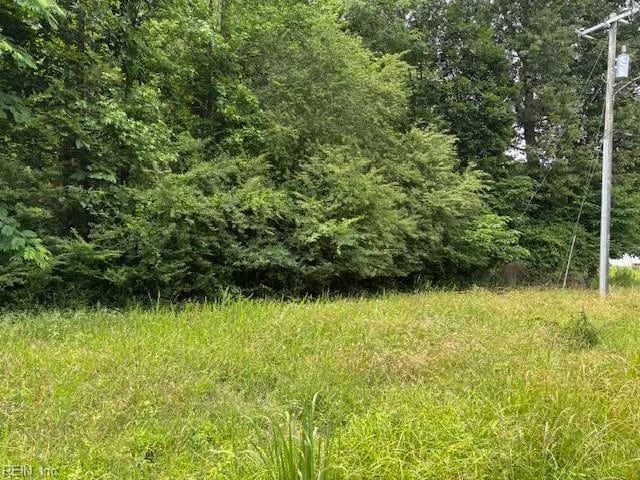 Lot 2 Branch Bridge ST, BRANCHVILLE VA 23828