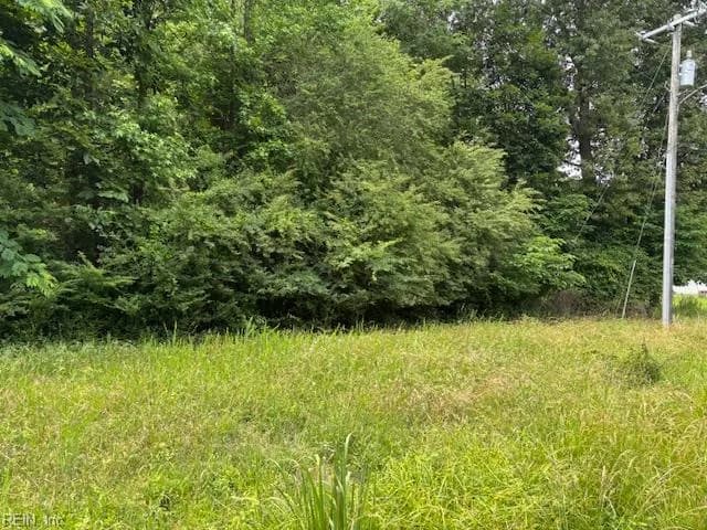Lot 2 Branch Bridge ST, BRANCHVILLE VA 23828 - Photo 2