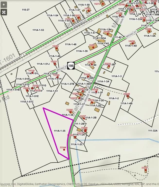 Lot 2 Branch Bridge ST, BRANCHVILLE VA 23828 - Photo 3