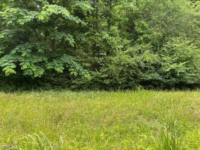 Lot 2 Branch Bridge ST, BRANCHVILLE VA 23828 - Photo 5