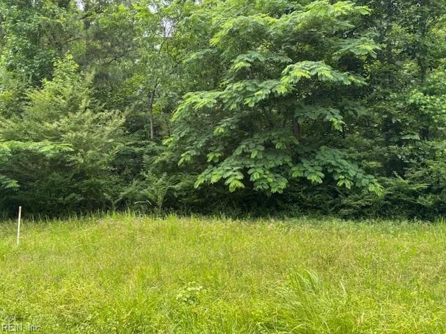 Lot 1 Branch Bridge ST, BRANCHVILLE VA 23828 - Photo 2