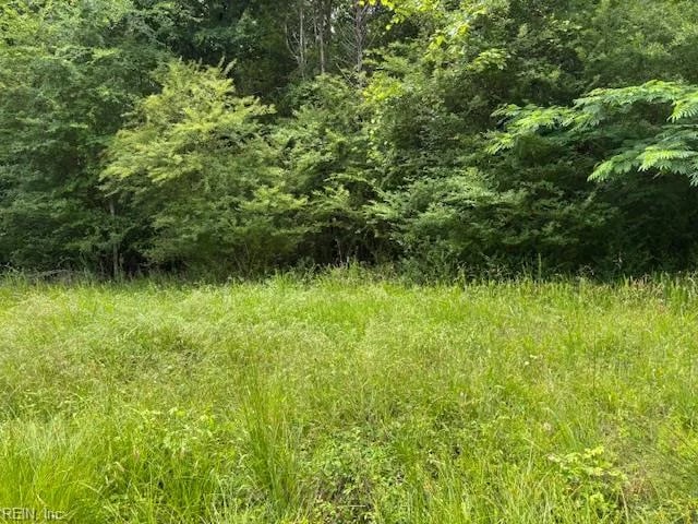 Lot 3 Branch Bridge ST, BRANCHVILLE VA 23828