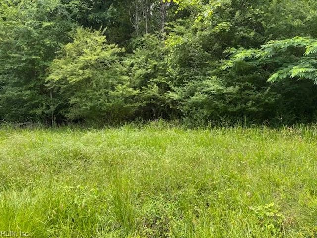 Lot 3 Branch Bridge ST, BRANCHVILLE VA 23828 - Photo 2