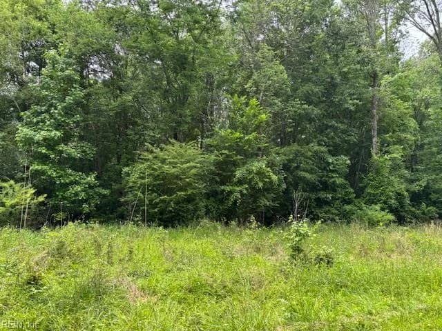 Lot 4 Branch Bridge ST, BRANCHVILLE VA 23828 - Photo 2