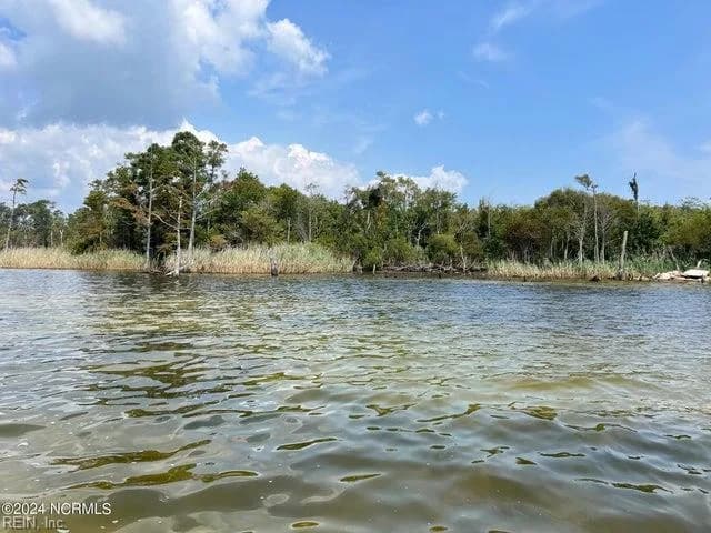 1.1+AC Lee ST, POPLARBRANCH NC 27965 - Photo 2