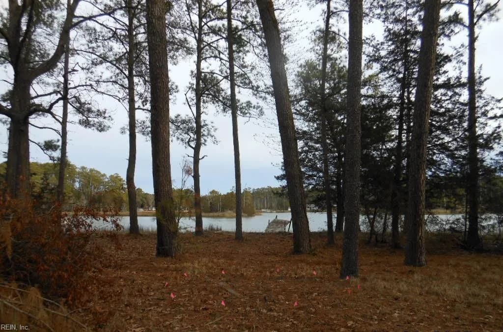 615 Ivison LN, ONEMO VA 23130 - Photo 5