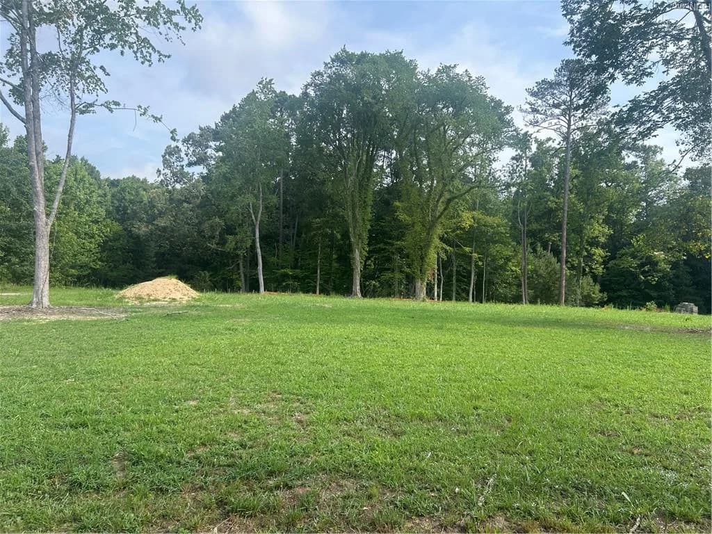 01 Minnesota AVE, CLAREMONT VA 23899 - Photo 3