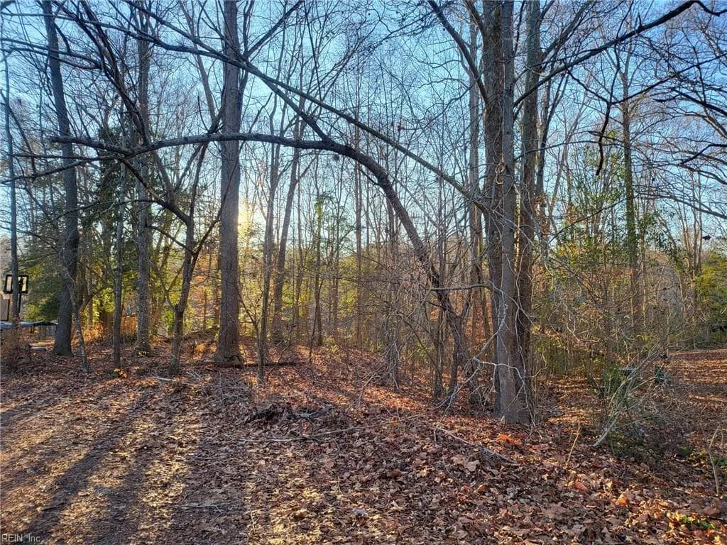 Lot 18 Beech Tree CT, GLOUCESTER VA 23061 - Photo 3