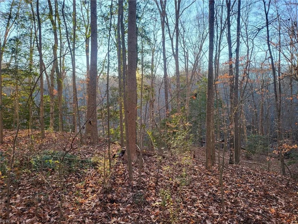 Lot 18 Beech Tree CT, GLOUCESTER VA 23061 - Photo 4