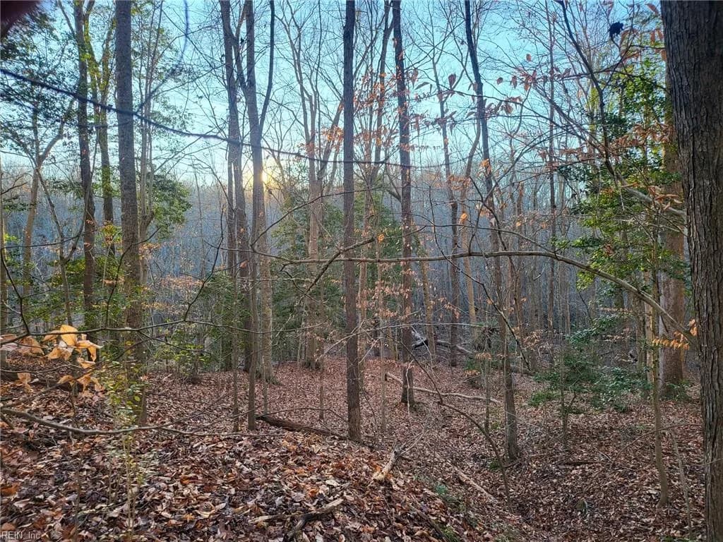 Lot 18 Beech Tree CT, GLOUCESTER VA 23061 - Photo 5