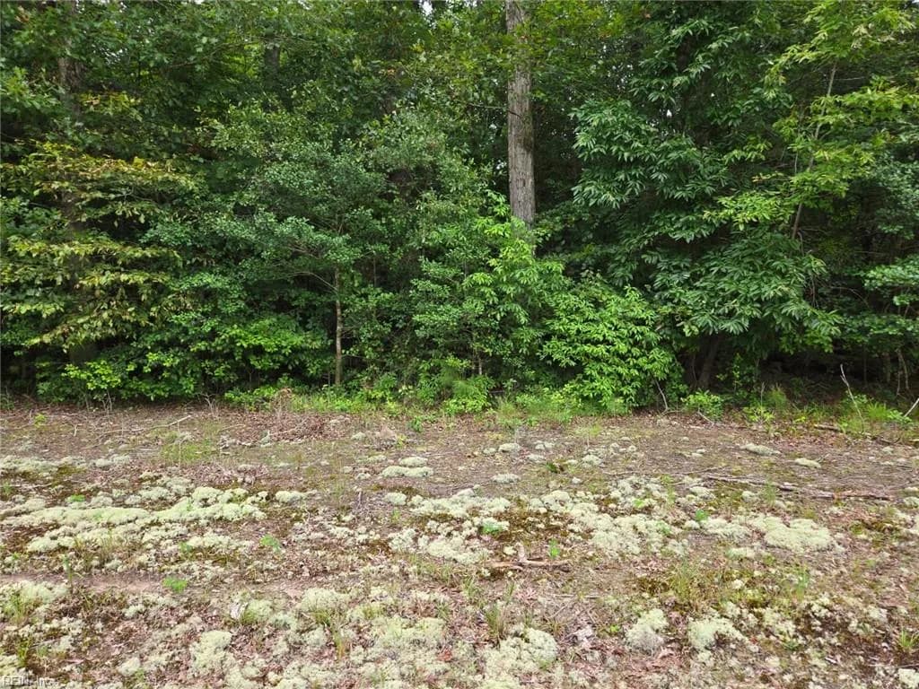 25.5AC Woodland DR, WINDSOR VA 23487 - Photo 2