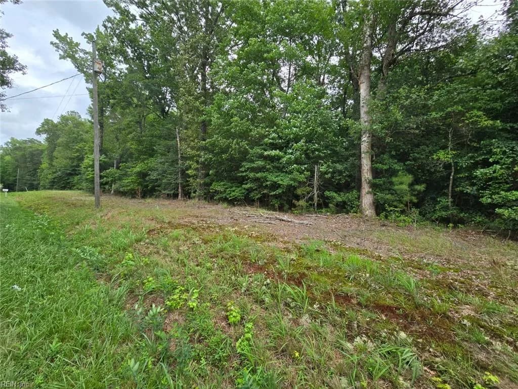 25.5AC Woodland DR, WINDSOR VA 23487 - Photo 4