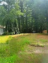 1145 Beautiful ST, VIRGINIA BEACH VA 23451 - Photo 2