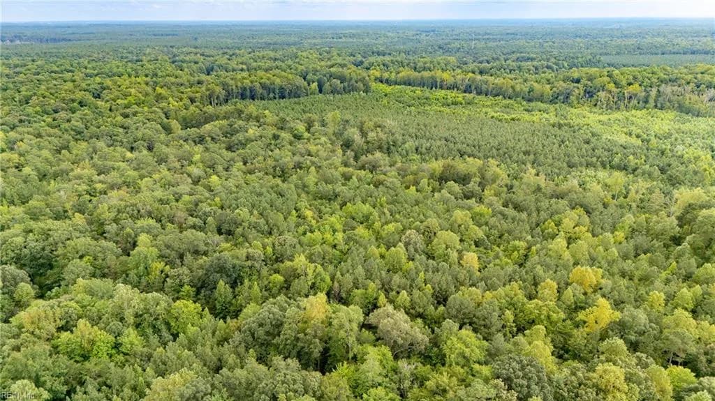 10+ac Beech Creek (10.88ac) RD, GLOUCESTER VA 23061 - Photo 3