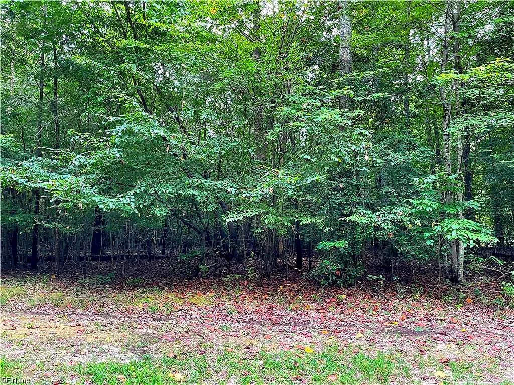 10+ac Beech Creek (10.88ac) RD, GLOUCESTER VA 23061 - Photo 4