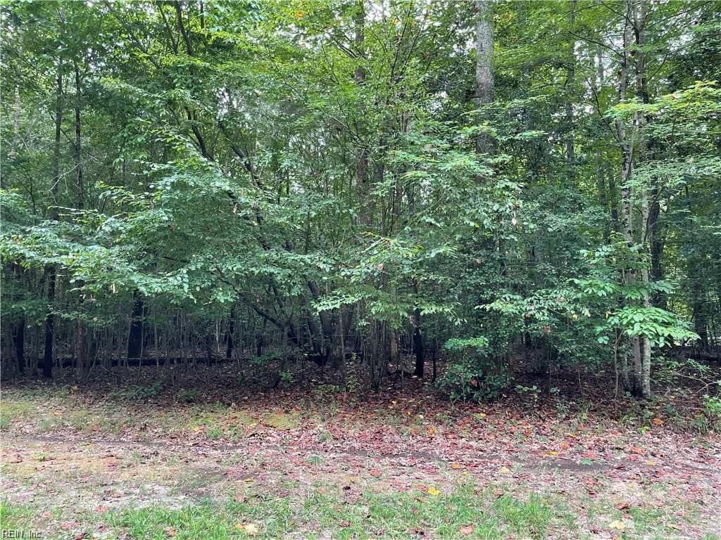 10+ac Beech Creek (10.88ac) RD, GLOUCESTER VA 23061 - Photo 4