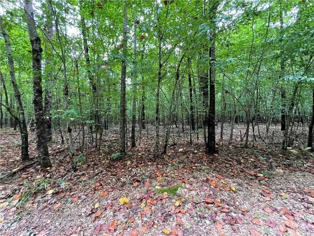 10+ac Beech Creek (10.88ac) RD, GLOUCESTER VA 23061 - Photo 5