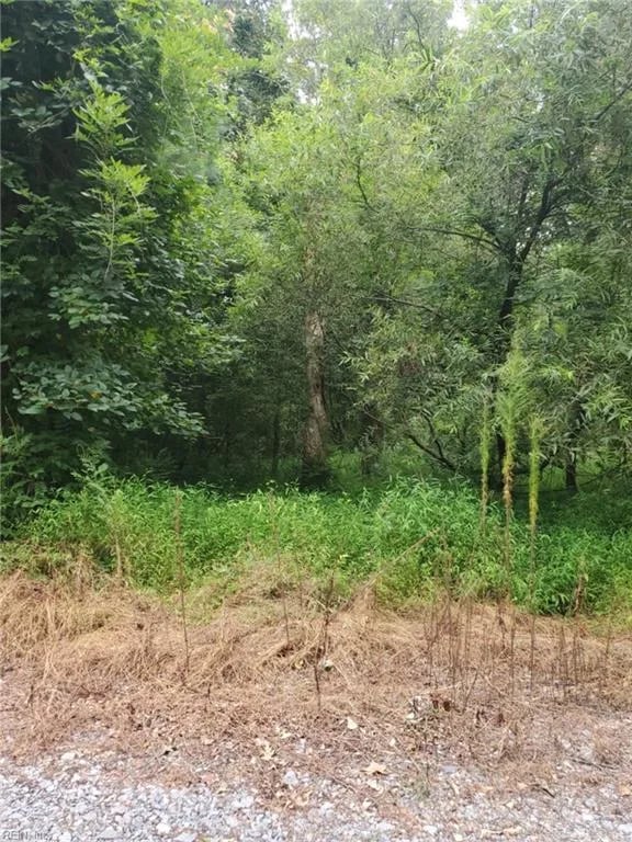 4364 Griffin LN, SUFFOLK VA 23435