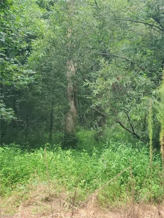 4364 Griffin LN, SUFFOLK VA 23435 - Photo 3