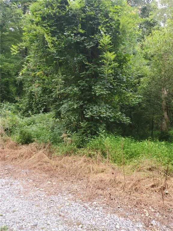 4364 Griffin LN, SUFFOLK VA 23435 - Photo 5
