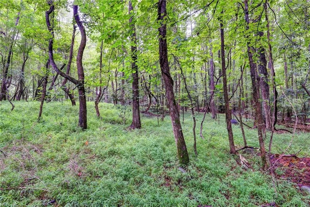 200 Jolly Pond RD, Williamsburg — Land and Farms