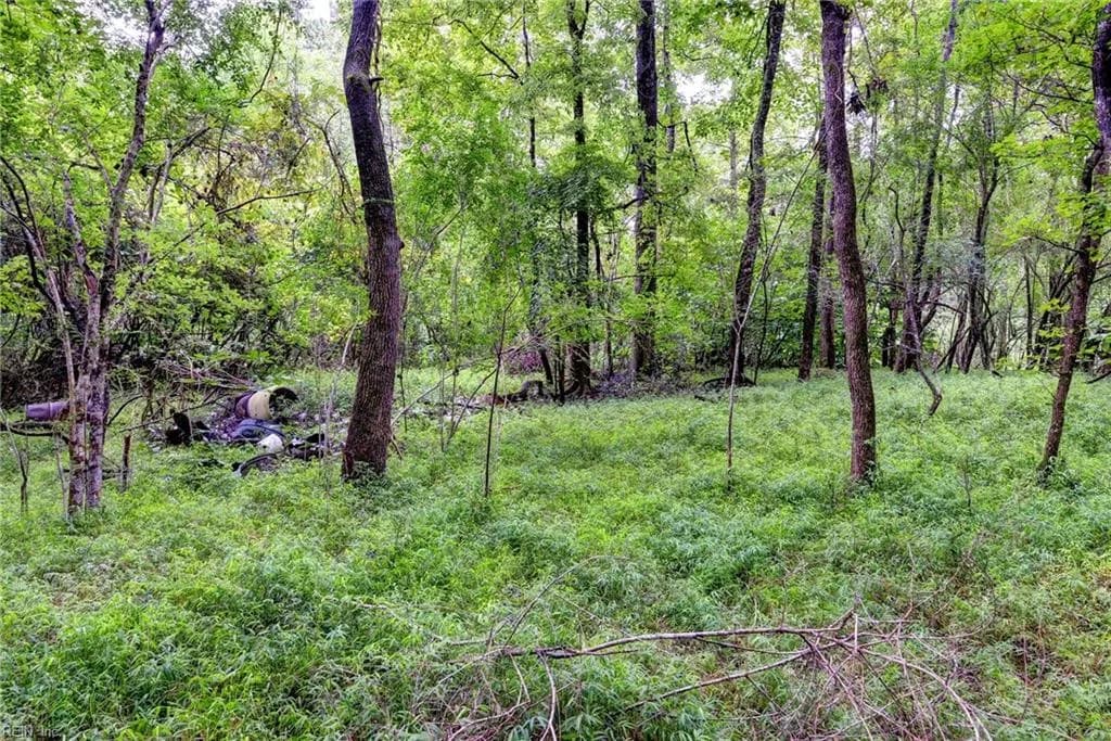 200 Jolly Pond RD, WILLIAMSBURG VA 23188 - Photo 4