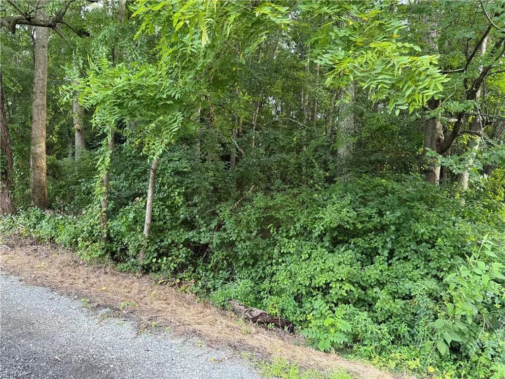 1.00AC Clay Bank RD, GLOUCESTER VA 23061 - Main photo