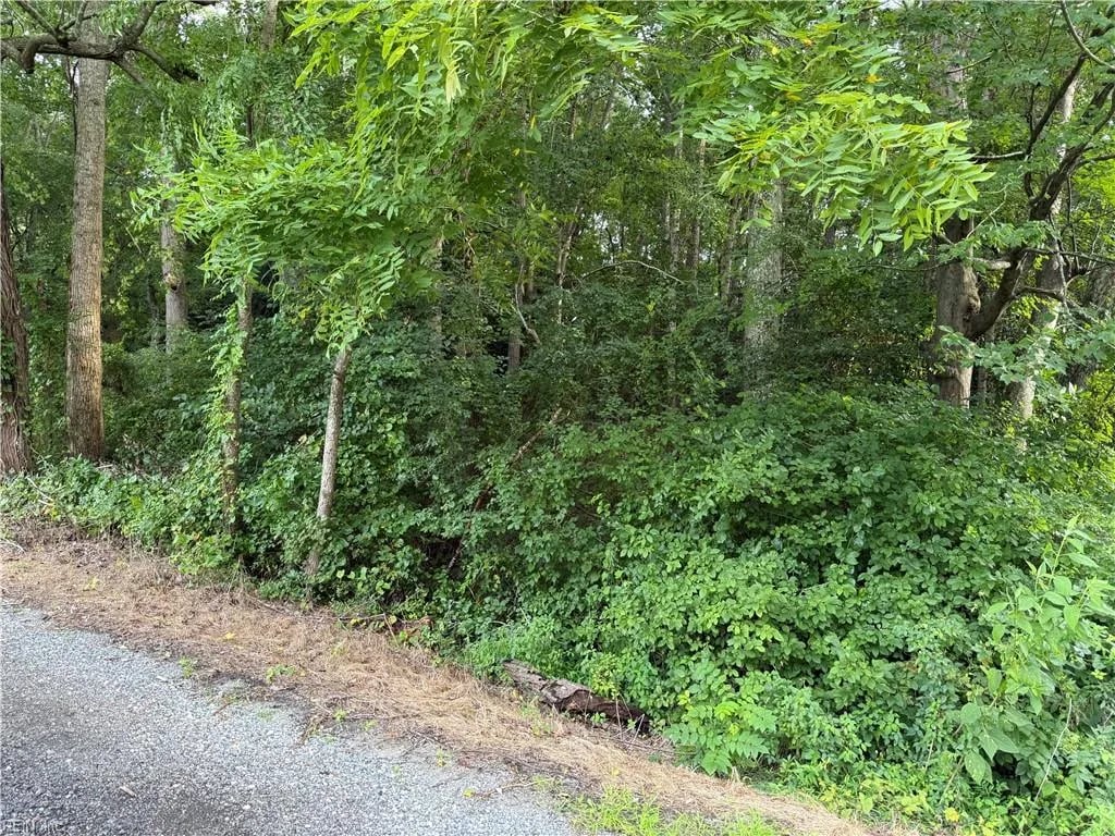 1.00AC Clay Bank RD, GLOUCESTER VA 23061