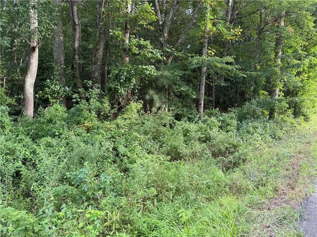 1.00AC Clay Bank RD, GLOUCESTER VA 23061 - Photo 3