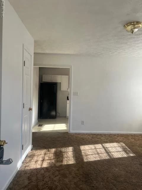 29029 EVERETT ST, NEWSOMS VA 23874 - Photo 3