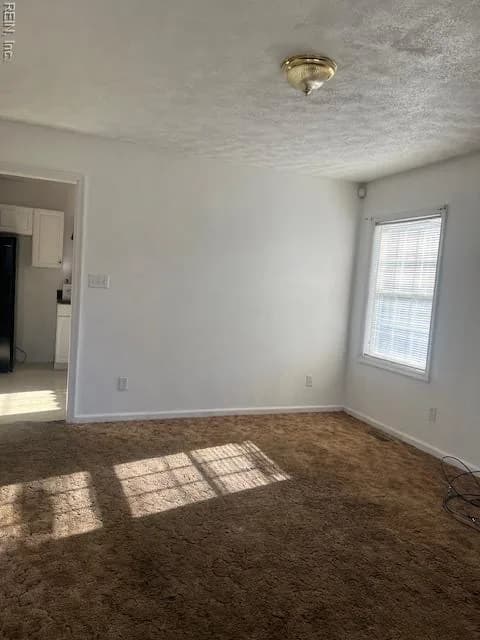 29029 EVERETT ST, NEWSOMS VA 23874 - Photo 4