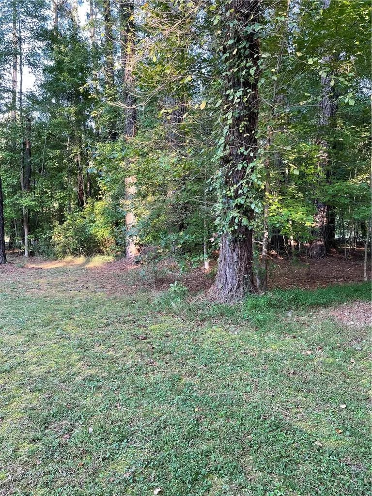 7AC Salem RD, VIRGINIABEACH VA 23456 - Photo 5
