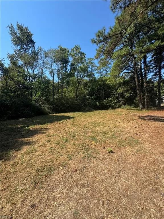 4172 West DR, CAPECHARLES VA 23310 - Photo 4