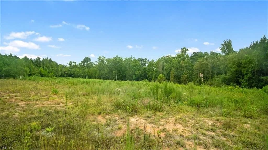 10+AC Brick Yard RD, EMPORIA VA 23847 - Photo 4