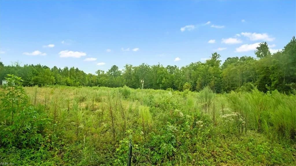 10+AC Brick Yard RD, EMPORIA VA 23847 - Photo 5
