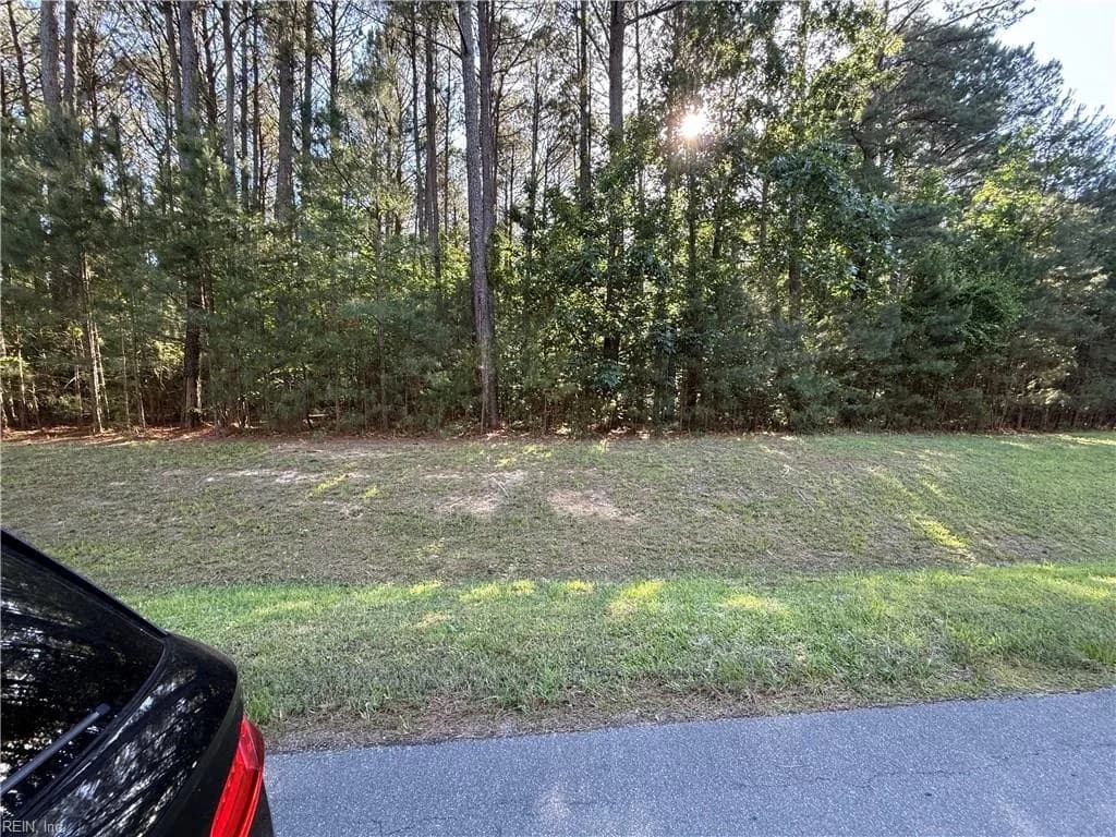 1220 Lawnes Neck DR, SMITHFIELD VA 23430 - Photo 5