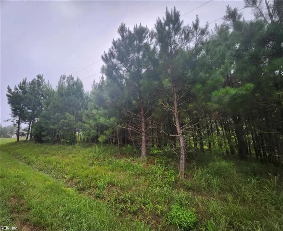 .51+AC Splendors Subd NONE, HURT VA 24563 - Photo 3