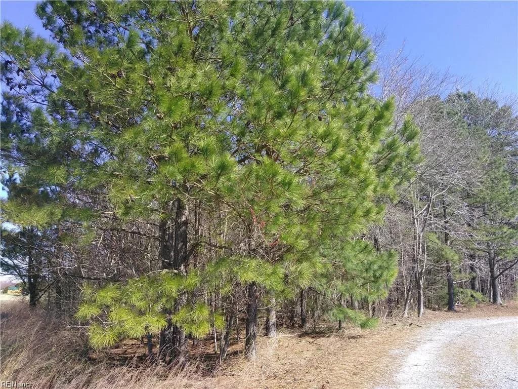 42-7B College RN, ELBERON VA 23846 - Photo 2