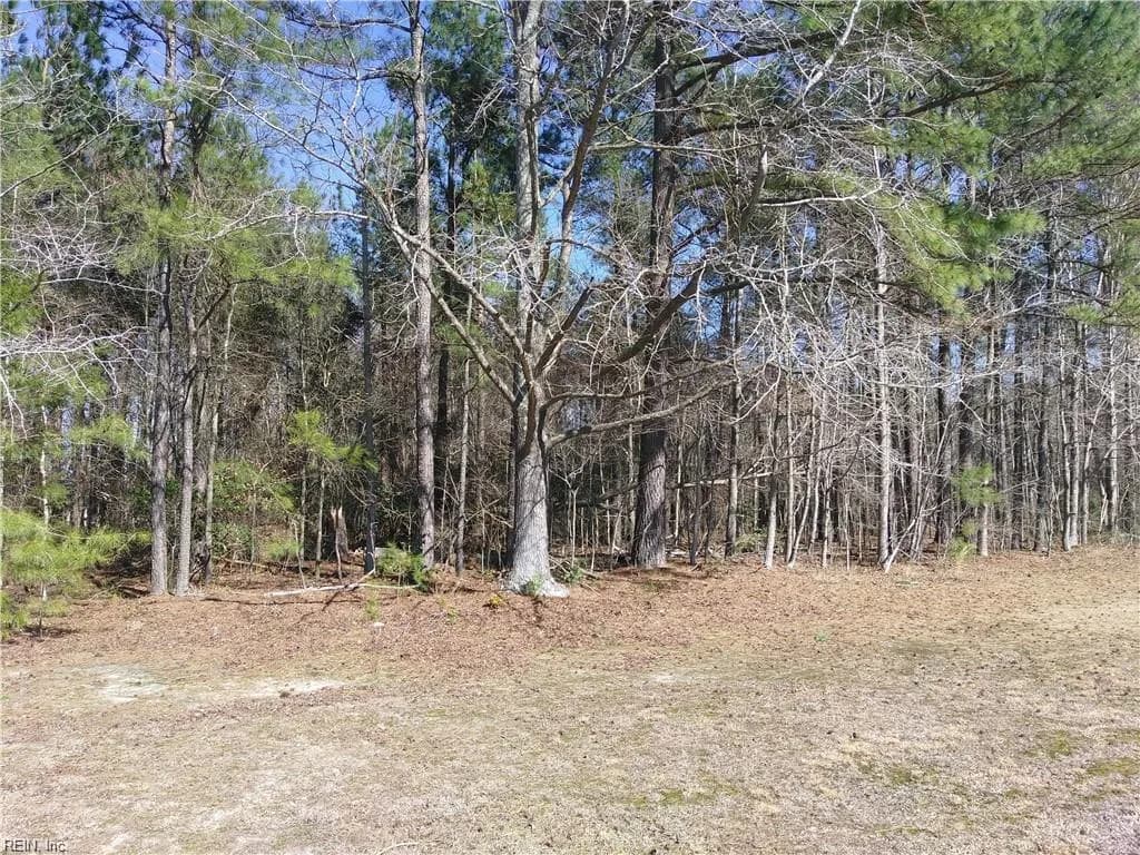 42-7B College RN, ELBERON VA 23846 - Photo 3