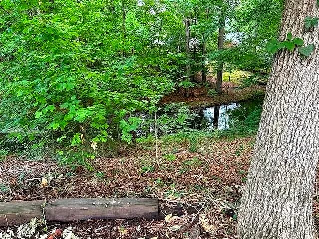 158 Highwood CIR, NEWPORTNEWS VA 23608 - Photo 4