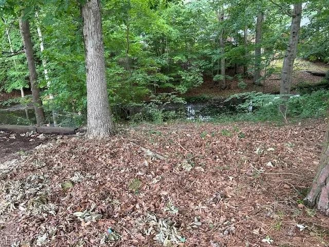 917 Lacon DR, NEWPORTNEWS VA 23608 - Main photo