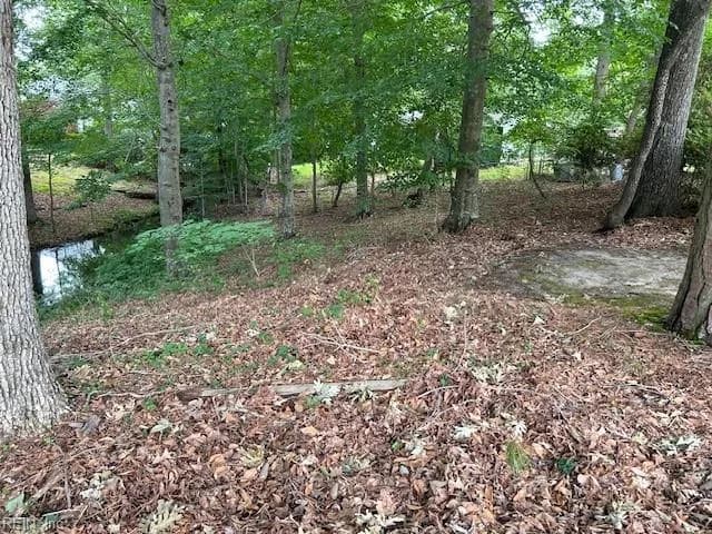 917 Lacon DR, NEWPORTNEWS VA 23608 - Photo 5