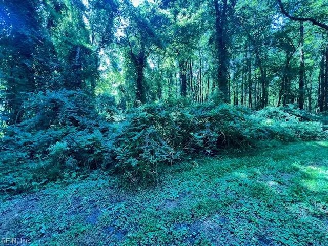 Lot 64 Main ST, SUFFOLK VA 23434