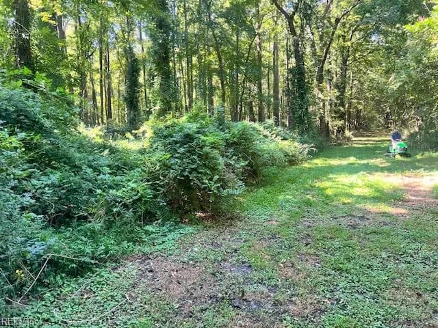 Lot 64 Main ST, SUFFOLK VA 23434 - Photo 4