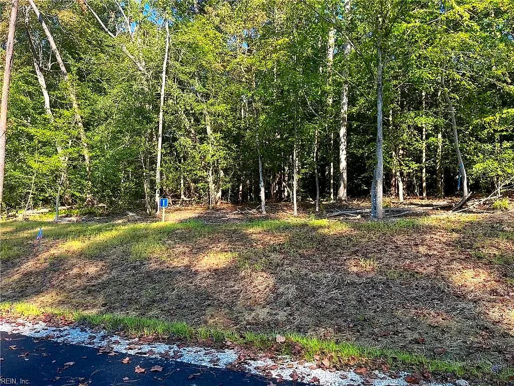 5361 Ridgewood Hills DR, WILLIAMSBURG VA 23188 - Photo 5