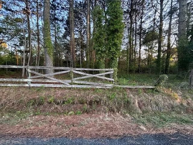10306 Brownsville RD, NASSAWADOX VA 23413 - Photo 2