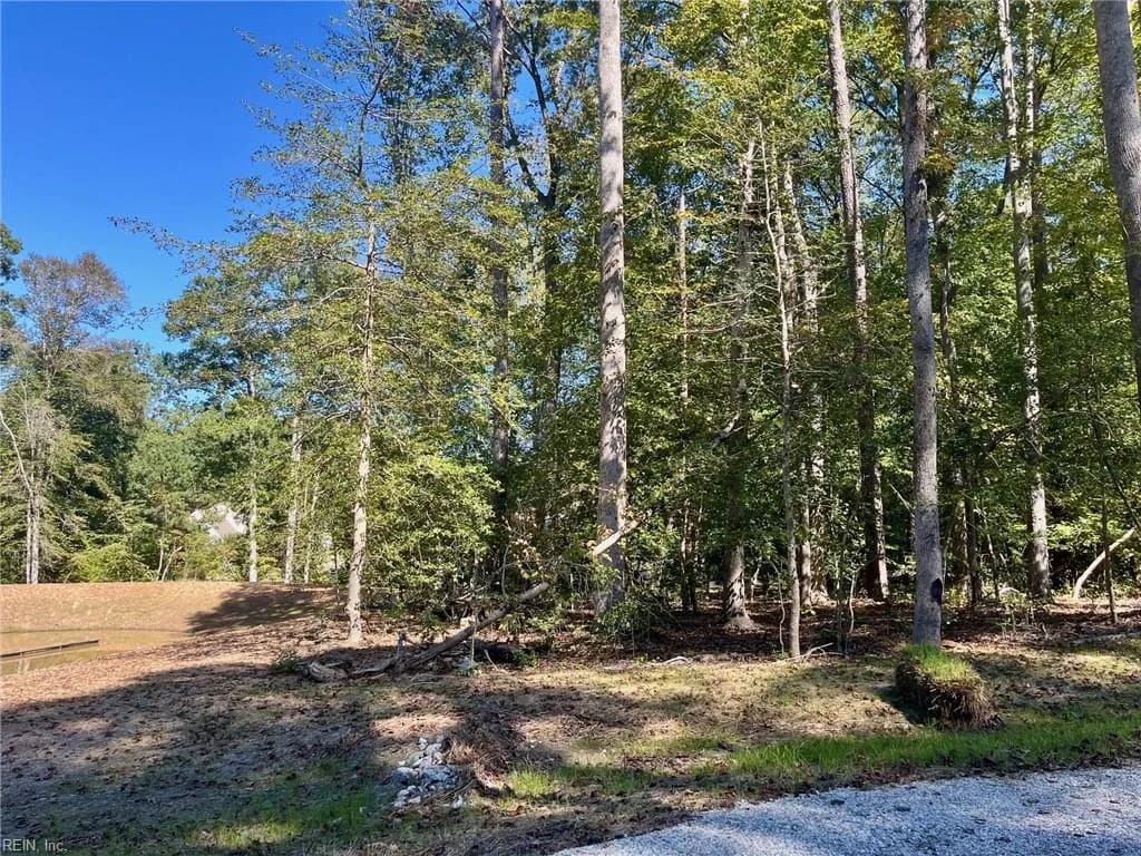5353 Ridgewood HLS, WILLIAMSBURG VA 23188 - Photo 4