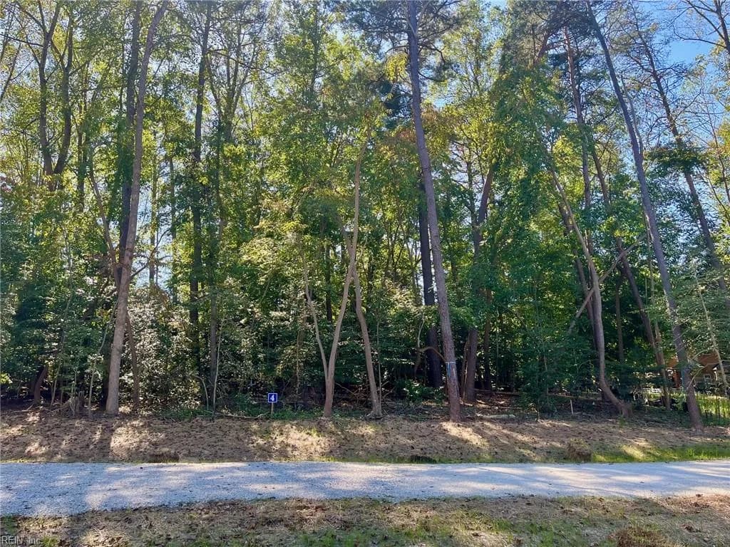 5349 Ridgewood HLS, WILLIAMSBURG VA 23188 - Photo 2