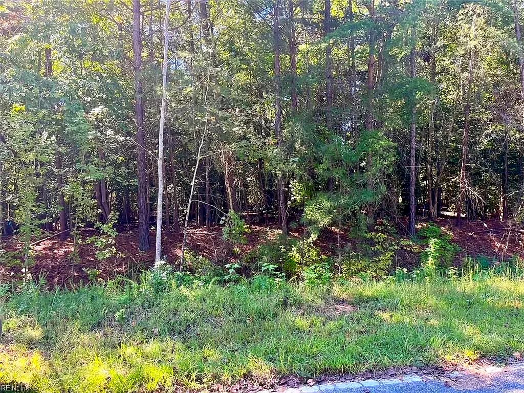 5329 Ridgewood HLS, WILLIAMSBURG VA 23188 - Photo 2